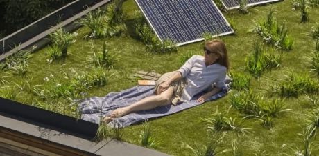 Eine Frau sonnt sich auf einem begrünten Flachdach neben einem Solarkraftwerk